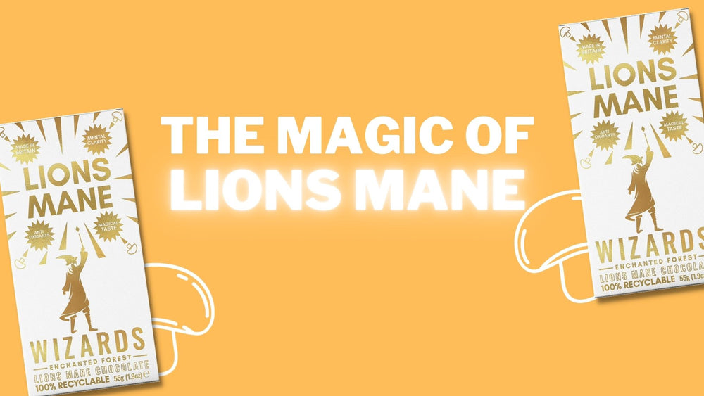 The magic of Lions Mane